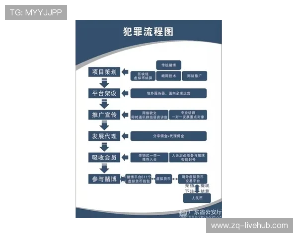 开云打码流水规则波胆平台对比避坑防骗